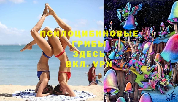 ешки Мегион